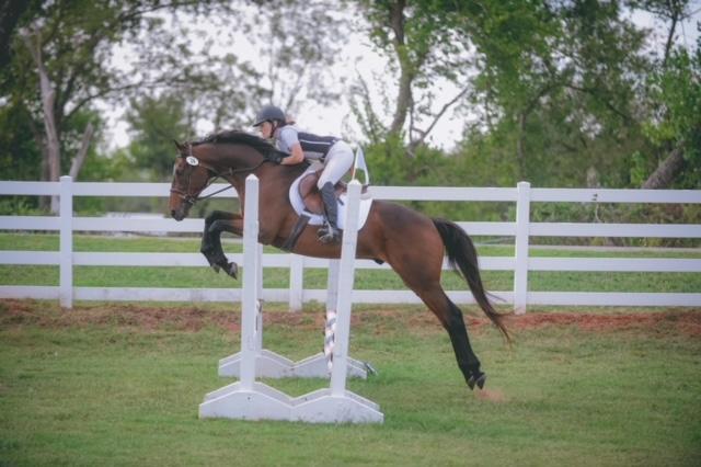 Shannon Howerton, First Edition, Thoroughbred Aftercare Alliance, Thoroughbred Athletes
